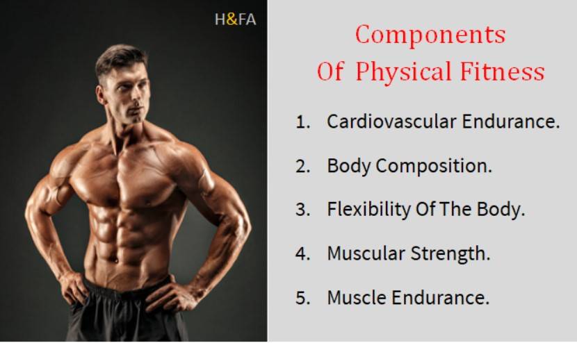 Components Of Physical Fitness , Fitness Components , Physical Fitness